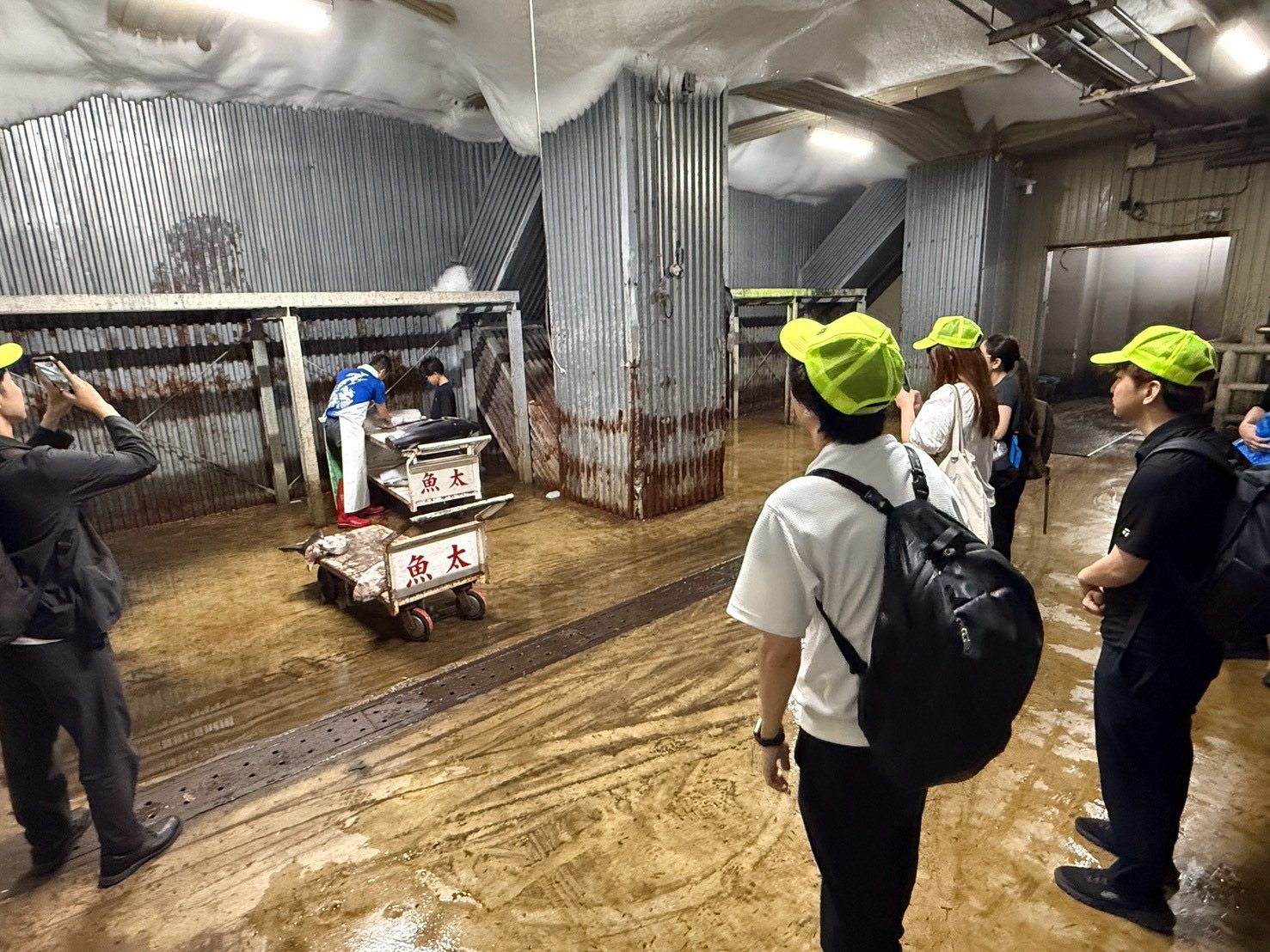 市場の冷凍庫を見学
