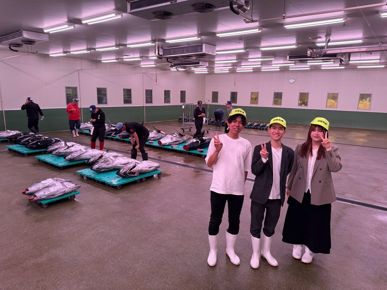 マグロのせり見学の様子